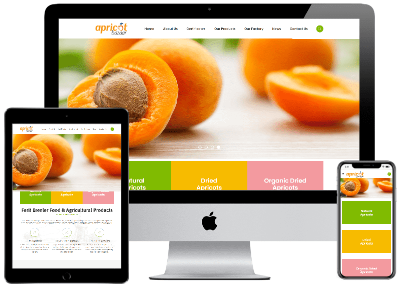 Apricot Bazaar - Kurumsal Web Tasarım